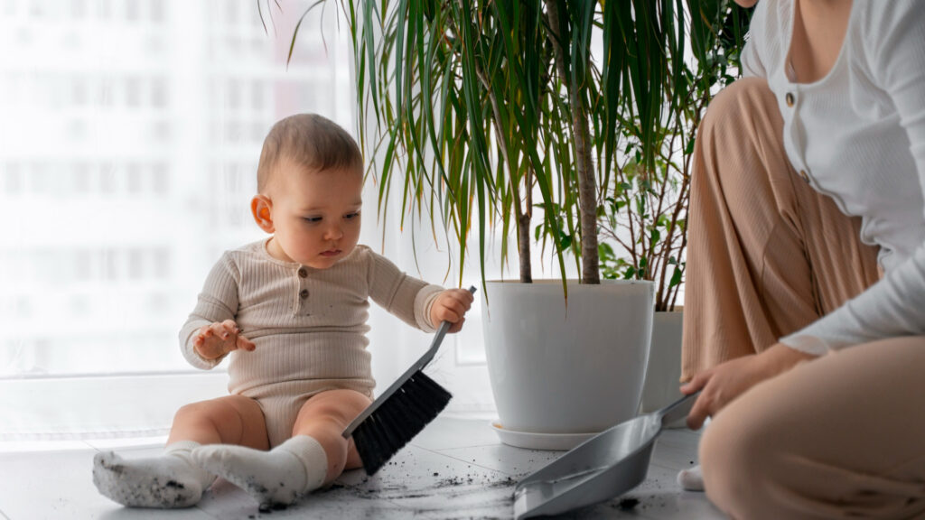 Schutzgitter für Mietwohnungen – Montage ohne Bohren
