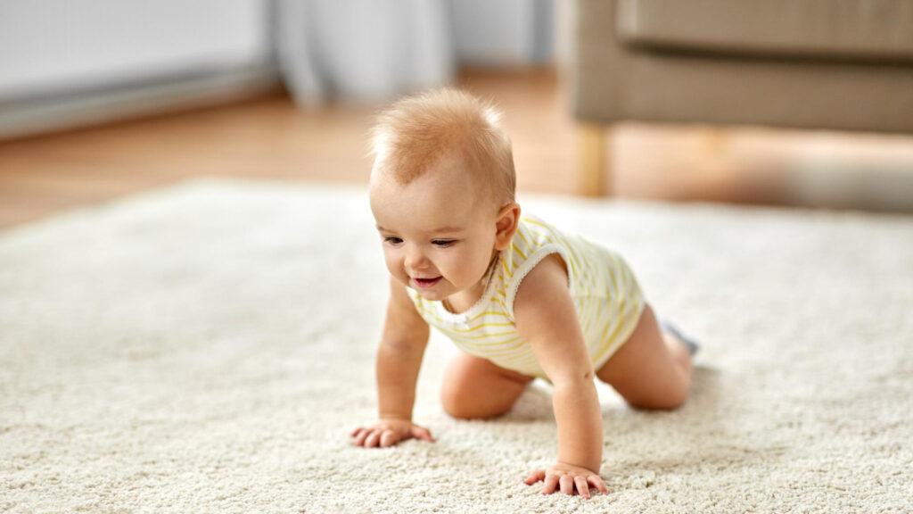 Schutzgitter reinigen – Die besten Tipps für jedes Material