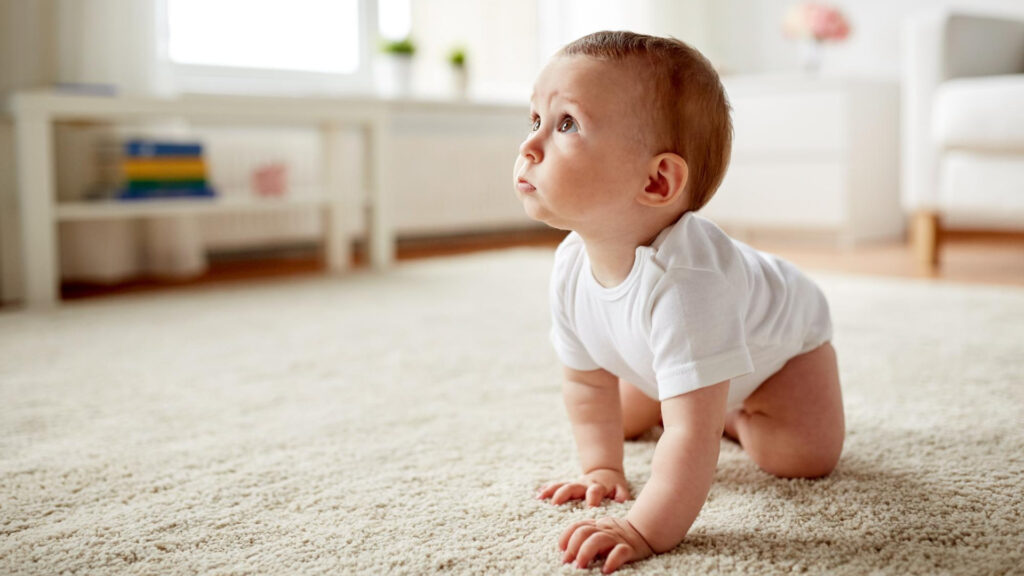 Schutzgitter reinigen – Die besten Tipps für jedes Material