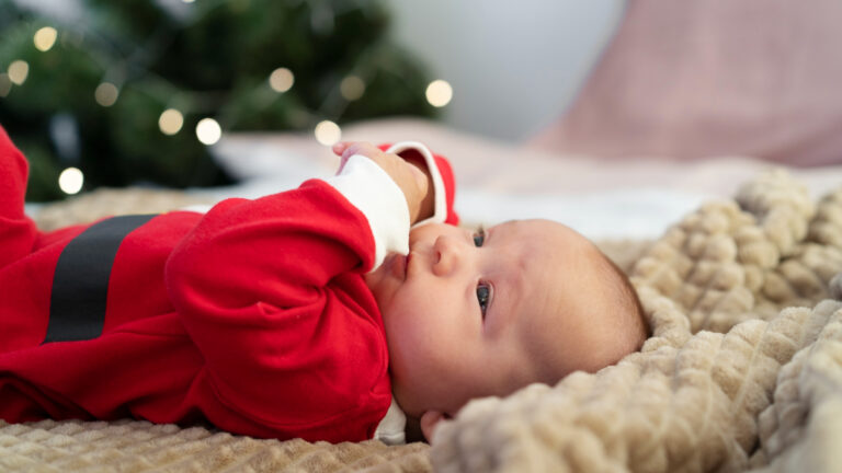 Schutzgitter zu Weihnachten – Die besten Geschenkideen